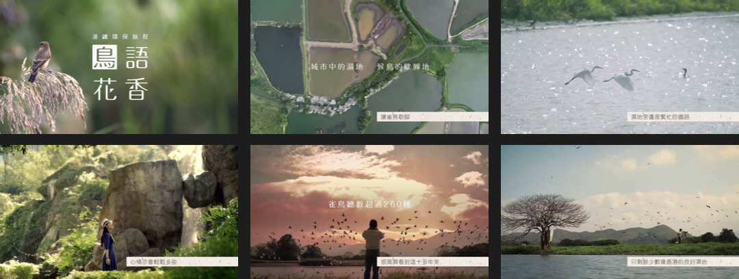 MTR — Corporate Branding Video “BIRDS” stills