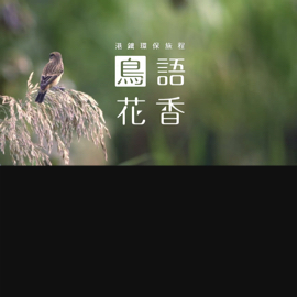 MTR — Corporate Branding Video “BIRDS”